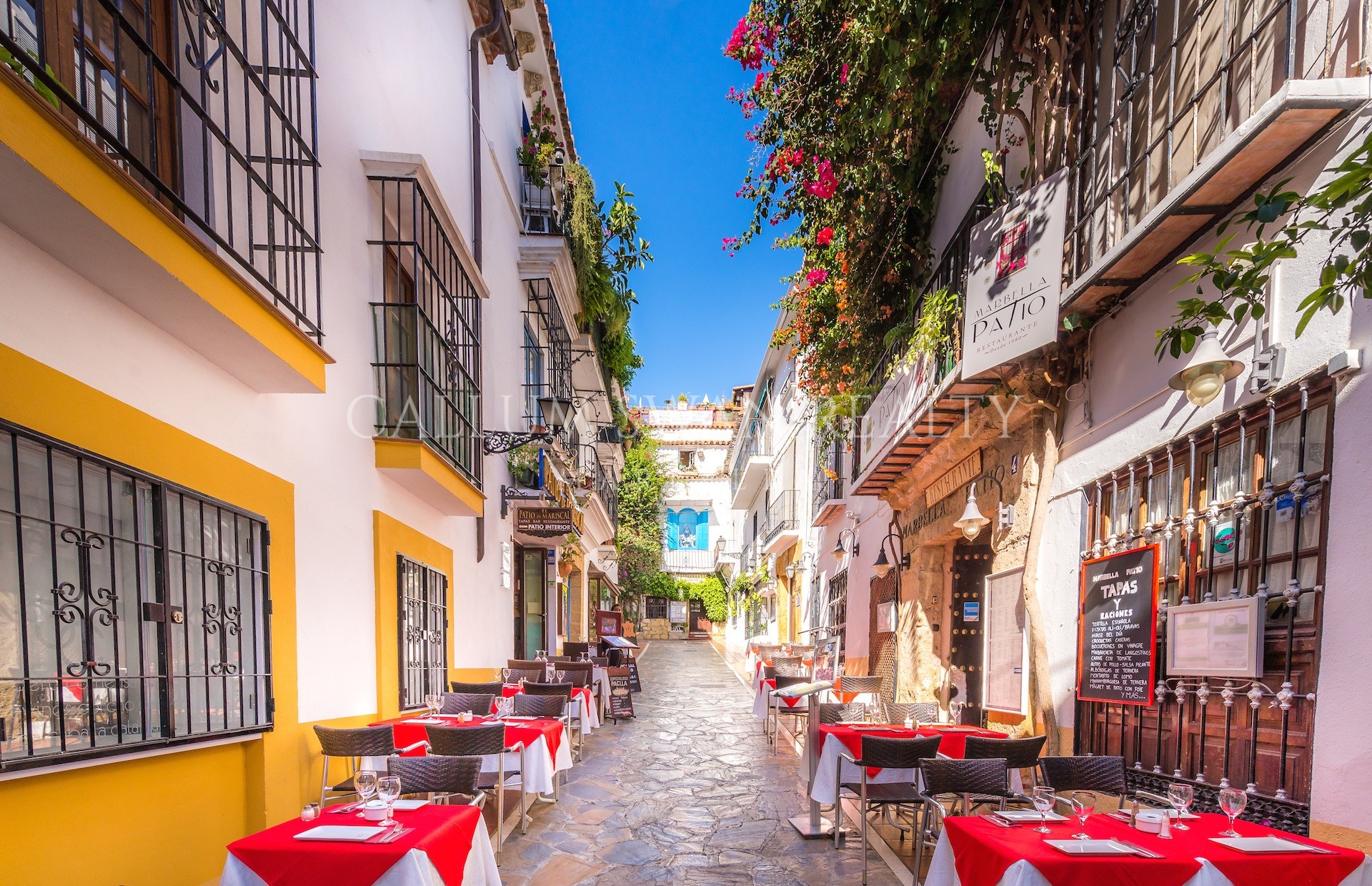 Marbella Downtown Tour